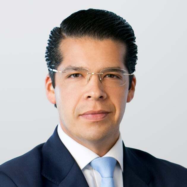 Speaker image