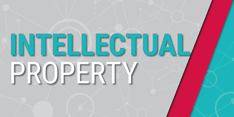 Intellectual Property Network 2025 Legal Updates